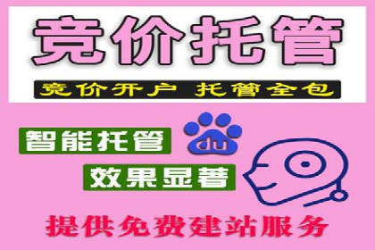 包年竞价技巧分享：案例解读高回报策略